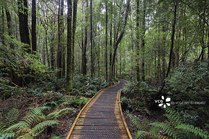 富兰克林-戈登野生河流国家公园小径图片素材