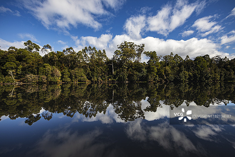 皮eman河上的雨林倒影图片素材