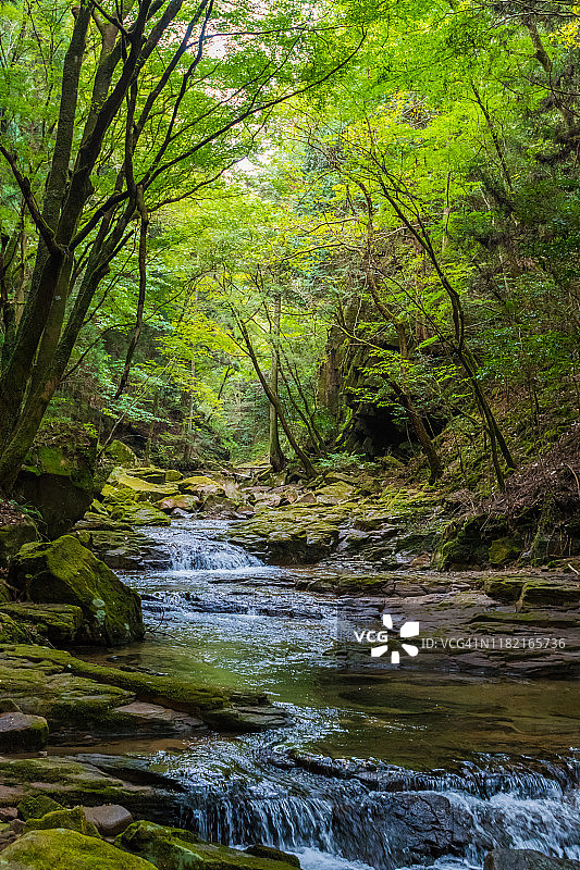 日本三重县赤目四十八瀑布山涧绿林图片素材