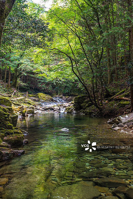 日本三重县赤目四十八瀑布山涧绿林图片素材