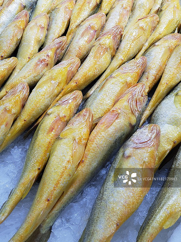 整齐排列的黄花鱼图片素材