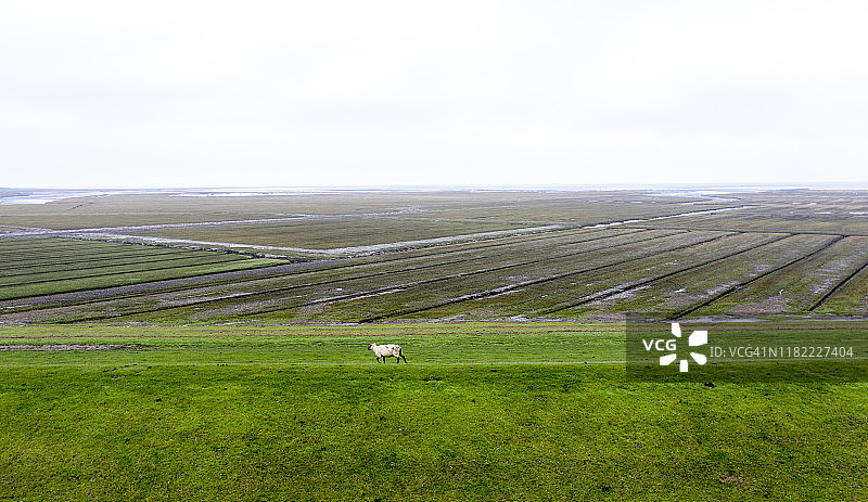 德国北部圣彼得-奥尔丁附近的风景图片素材