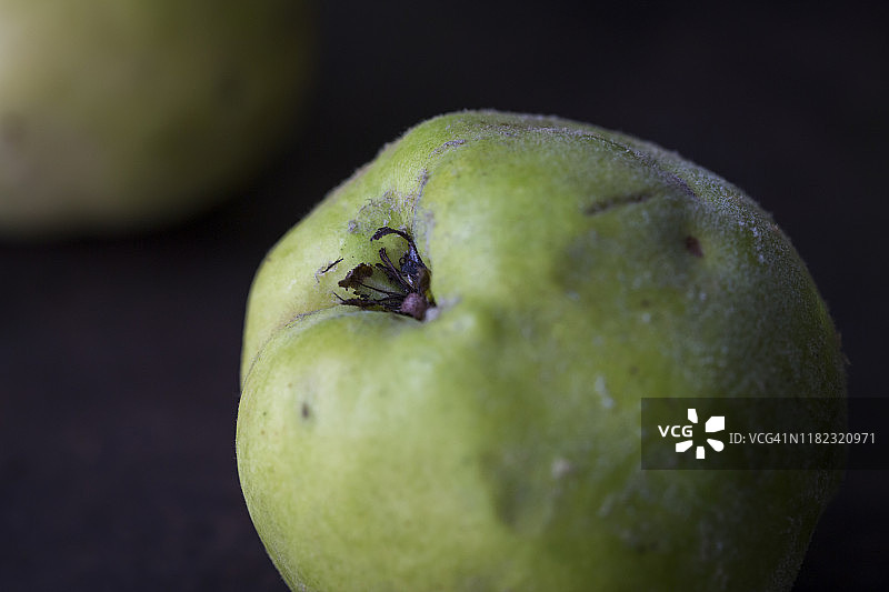 深色背景上的四个新鲜完整生 Quince图片素材