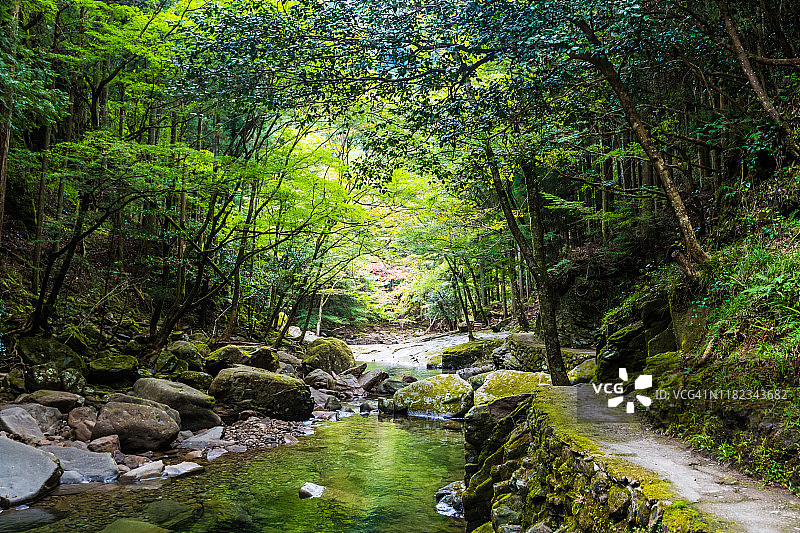 赤目四十八瀑布深林中的徒步小路图片素材