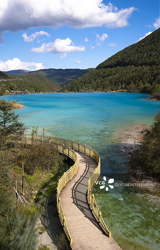 森林与湖泊小路图片素材