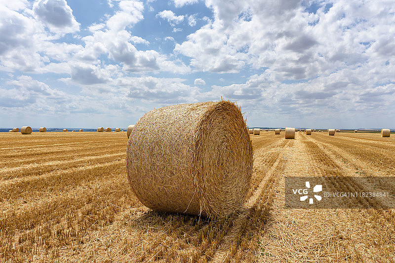 大型干草田的景象，有许多草捆图片素材