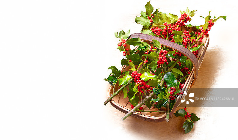 篮子里的冬青树枝图片素材