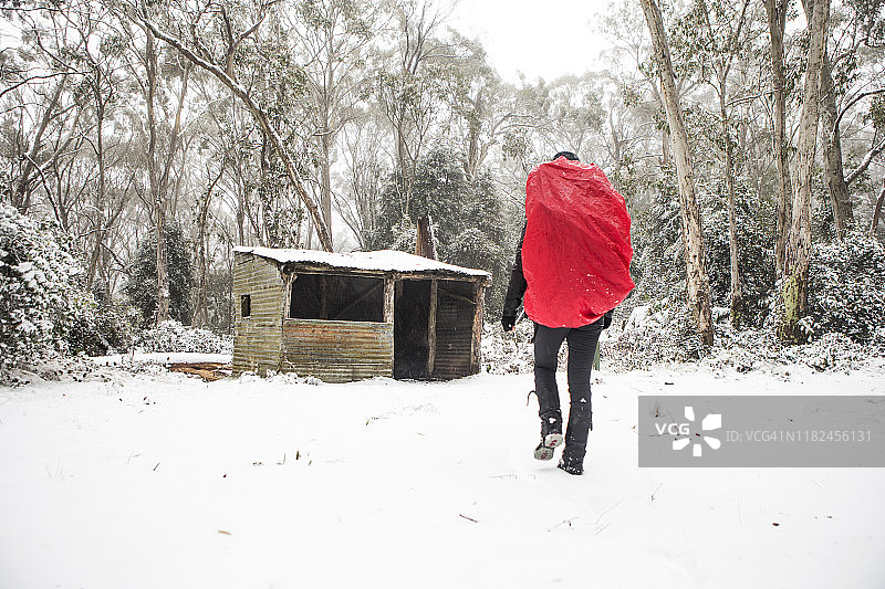 在凯瑞斯峰雪地中徒步的丛林漫步者图片素材