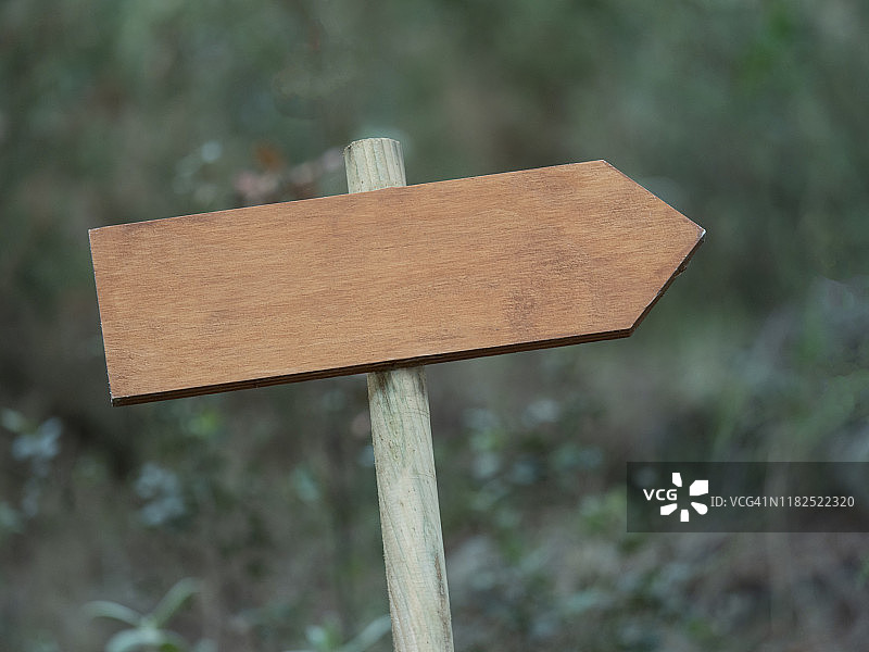 森林中的旧木制标志图片素材