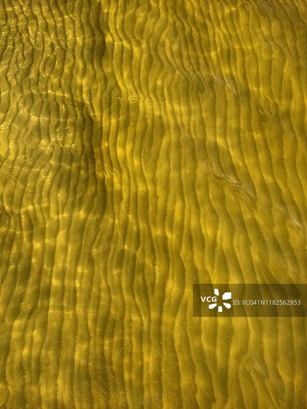 大西洋森林池塘底部的沙子图片素材