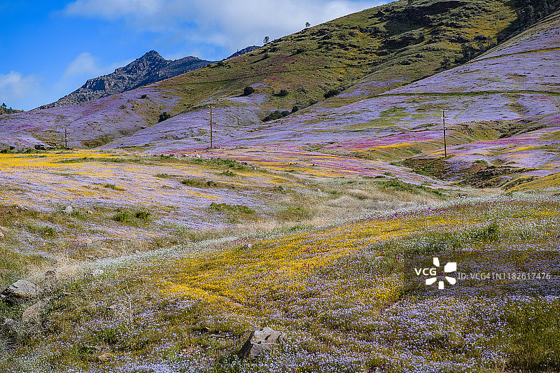 美国加利福尼亚州克恩维尔图片素材