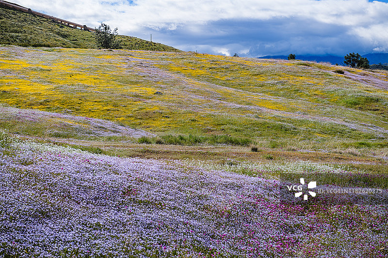 美国加利福尼亚州克恩维尔图片素材