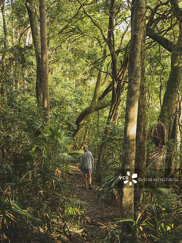 在澳大利亚迈尔湖国家公园的森林里行走的女人图片素材