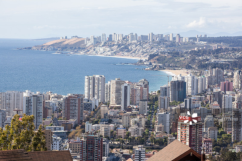 海边葡萄园图片素材