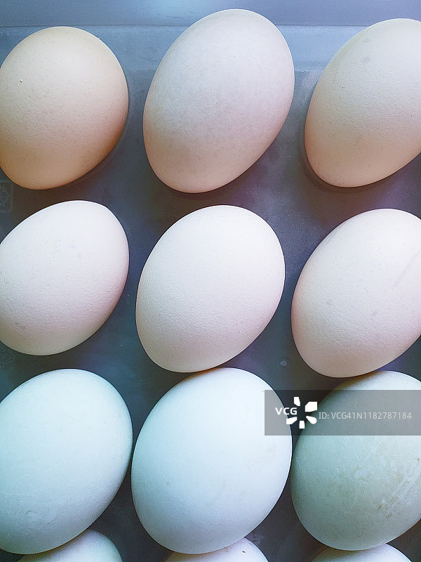 整齐地排列在盒子里的鸡蛋和鸭蛋图片素材