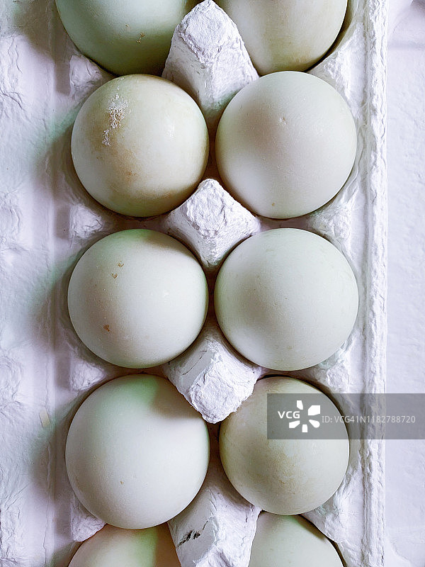 盒装鸭蛋图片素材