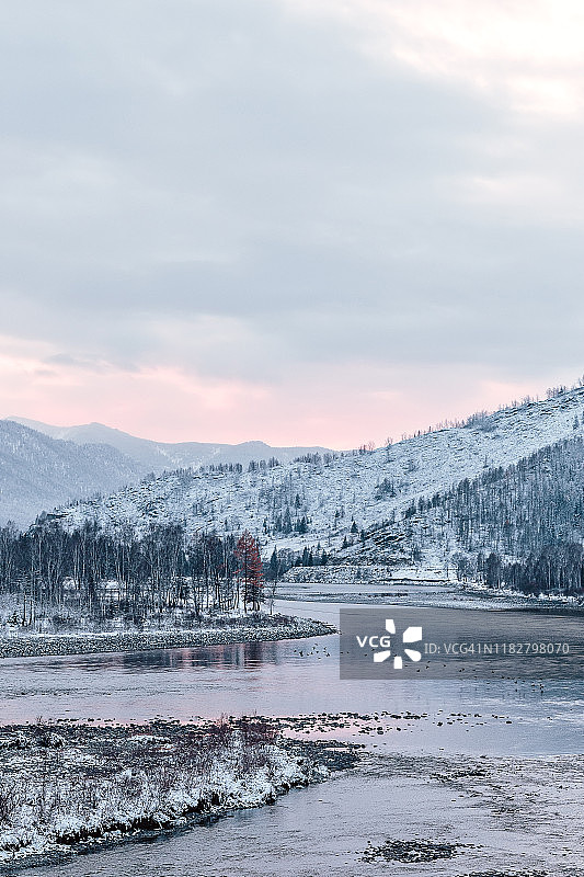 俄罗斯西伯利亚阿尔泰山区，卡тун河上方的冬日日落，雪 покрытые森林图片素材