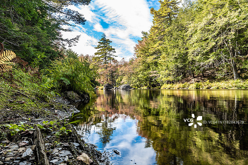 加拿大凯吉姆库吉克国家公园河畔林地图片素材