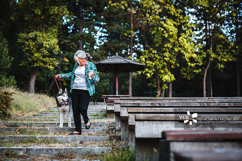 中年妇女在公园遛狗图片素材