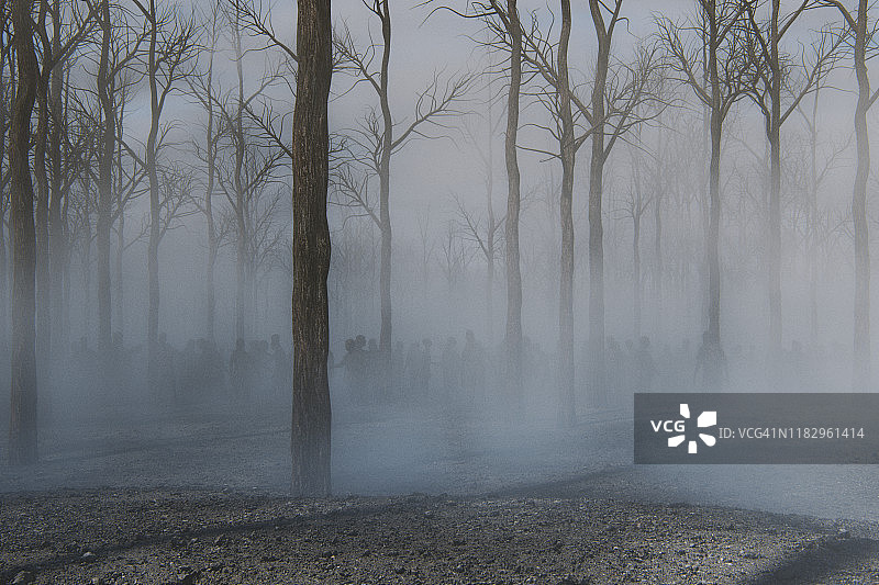 雾气弥漫的僵尸森林图片素材