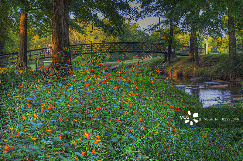 鹅溪上的桥梁图片素材
