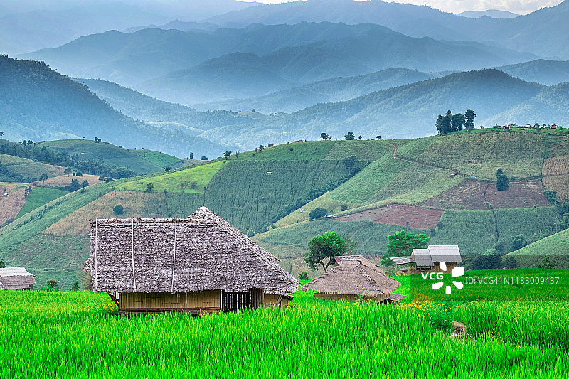 泰国清迈府湄占县的梯田图片素材