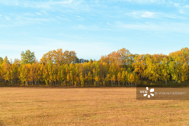 秋天的风景图片素材
