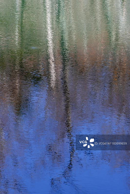 日本长野县松本市上高地的大正池中的树木倒影图片素材