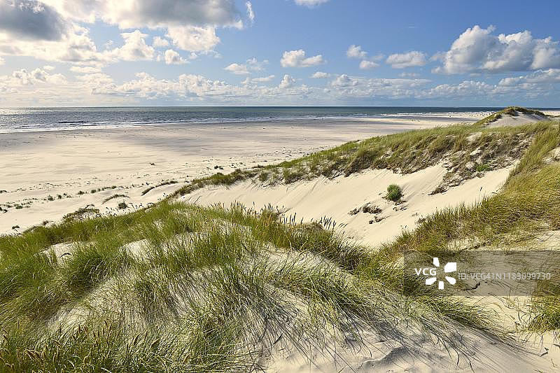 阿姆鲁姆岛海滩燕麦覆盖的沙丘图片素材