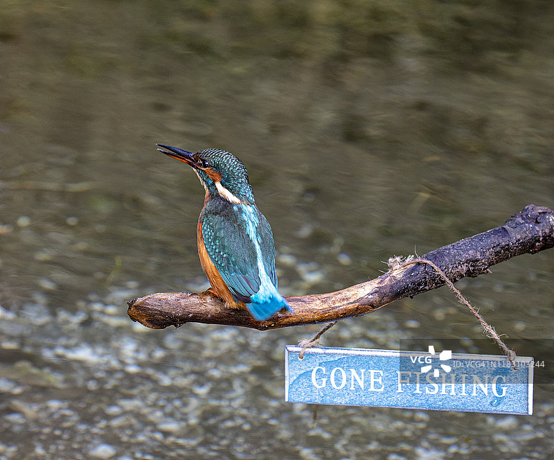 钓鱼去了图片素材