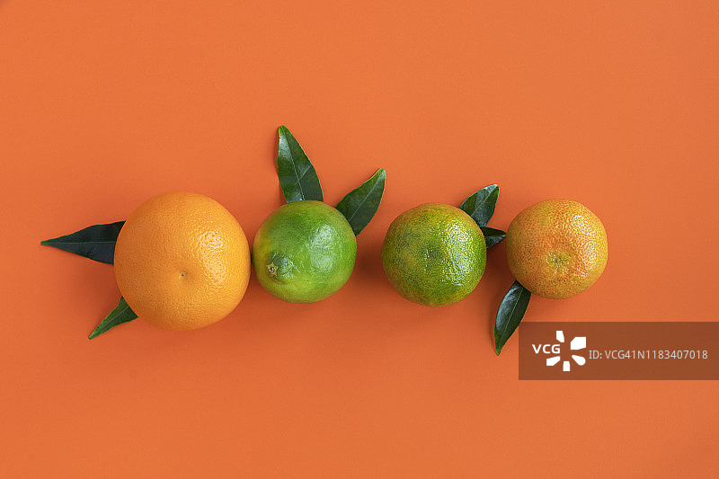 橙色背景上的柑橘类水果静物概念图图片素材
