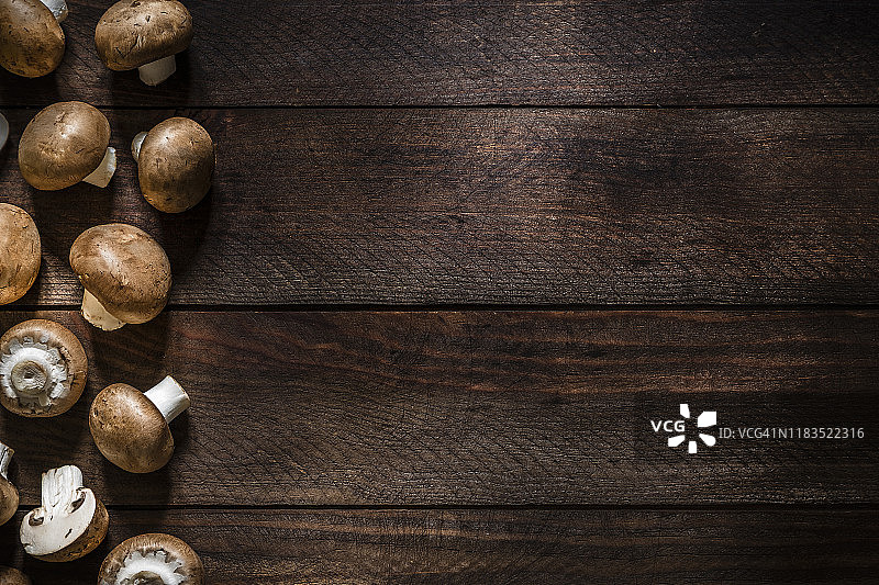 带空白区域的褐菇图片素材