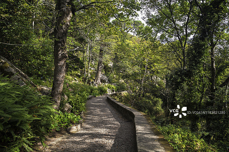 辛特拉摩尔人城堡森林小径图片素材