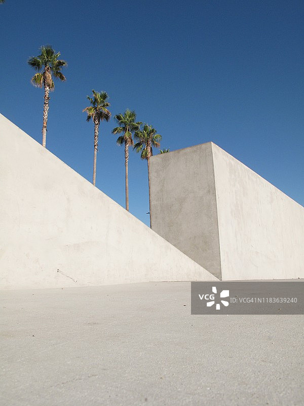 透视和图形：白色墙壁上的棕榈树图片素材