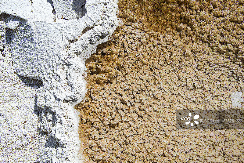 黄石国家公园猛犸温泉图片素材