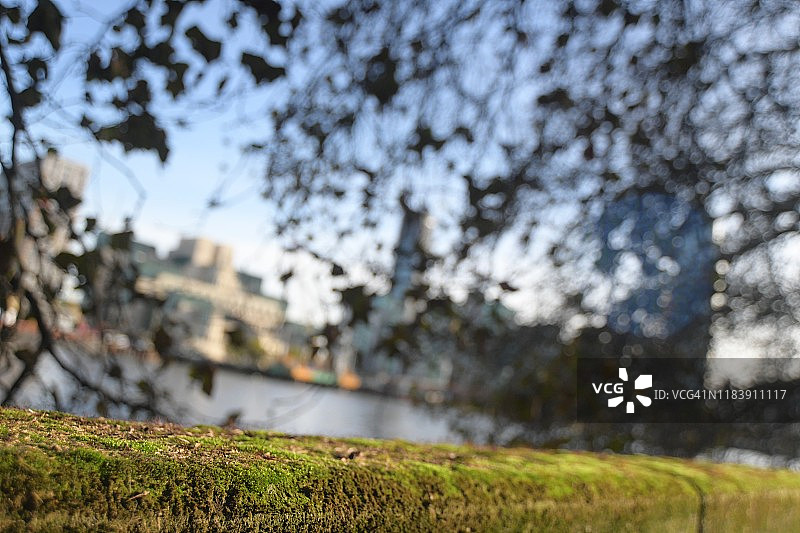 户外秋季风景图片素材