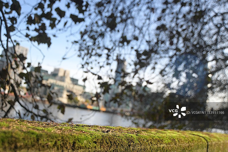 户外秋季风景图片素材