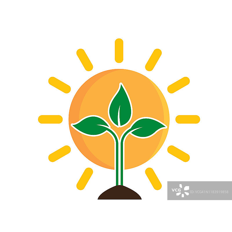 阳光与树木图片素材