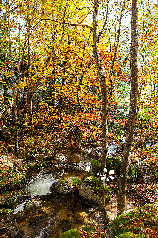 自然 - 洛泽尔省秋季风景图片素材
