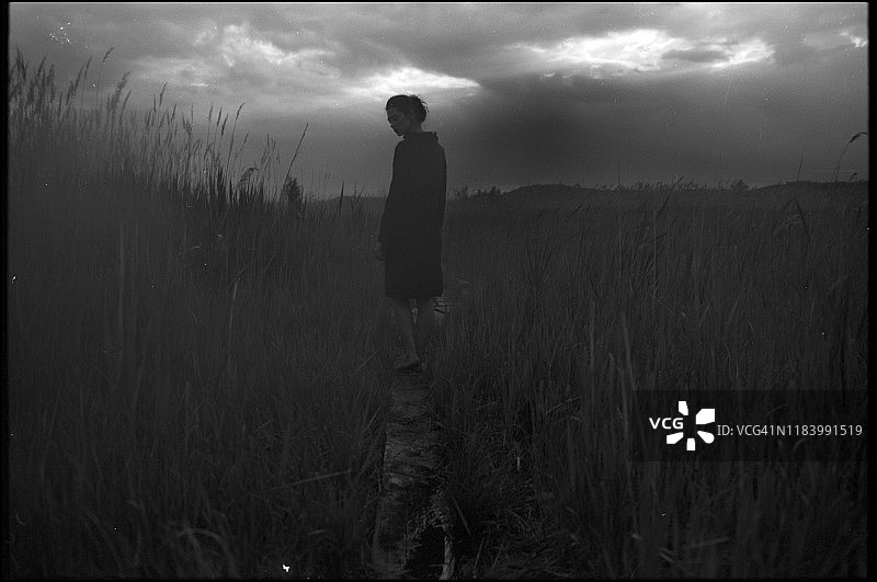 女孩的肖像图片素材