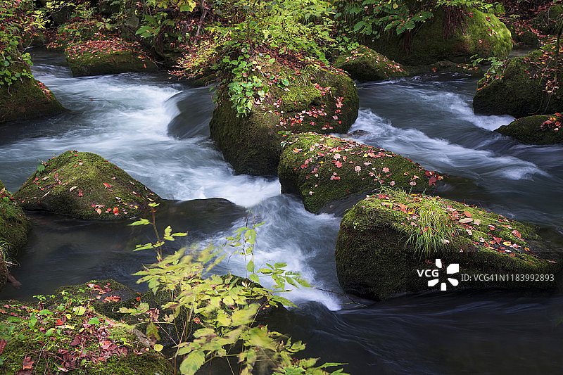 河岸表面流淌的溪流图片素材