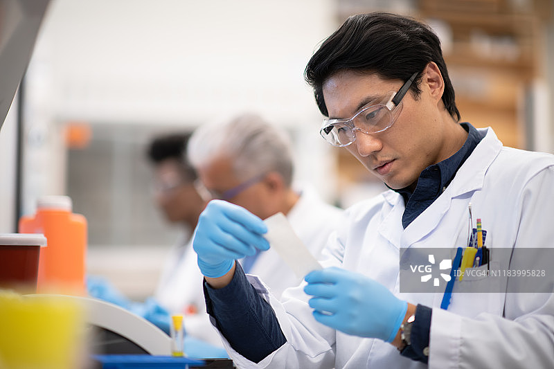 亚洲实验室技术员阅读样本结果图片素材