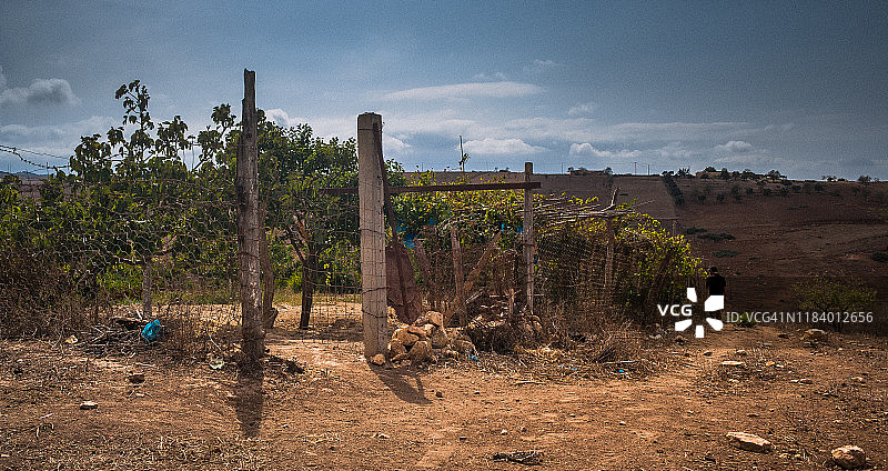 果园围栏全景图图片素材