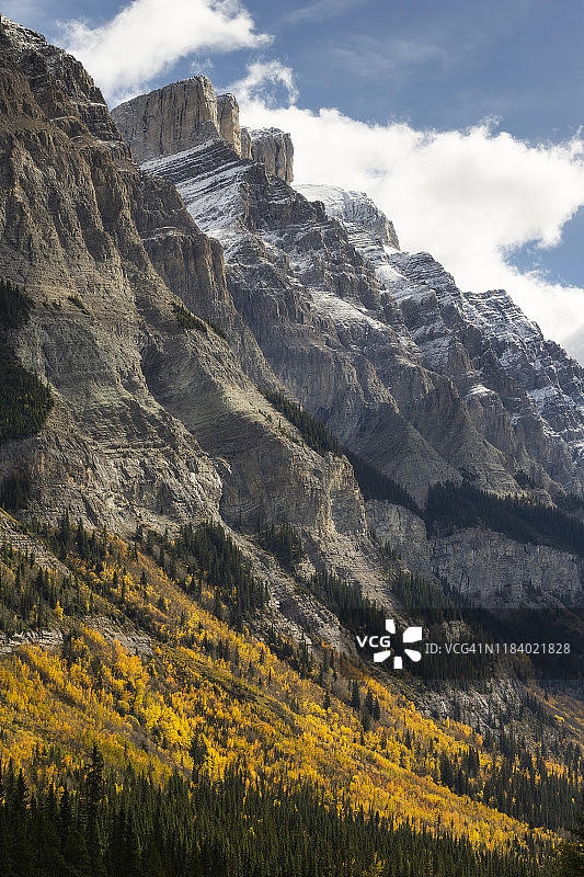 加拿大艾伯塔省班夫国家公园，冰原大道沿线的威尔逊山秋色图片素材