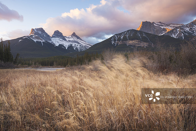日出时分的三姐妹峰和拂动草地，加拿大阿尔伯塔省坎莫尔图片素材