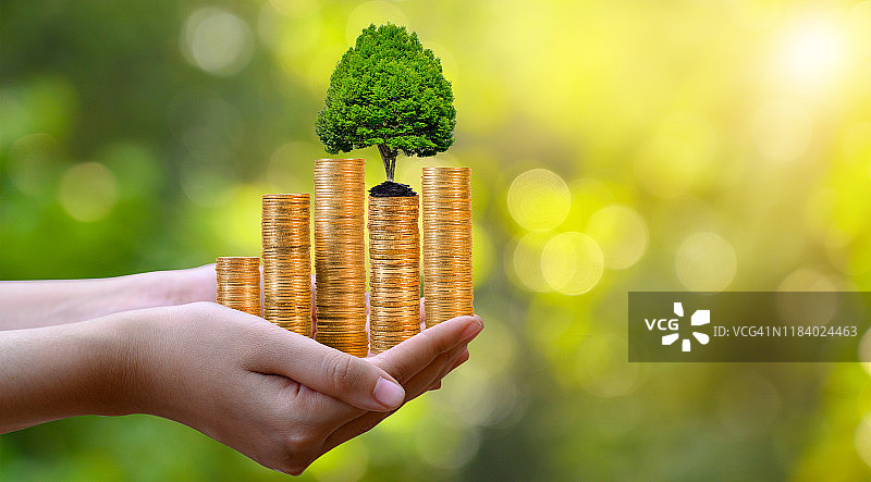 手托金币树，财富增长，投资理念，绿色背景虚化图片素材