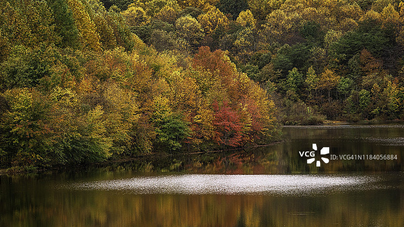 秋天的美丽图片素材
