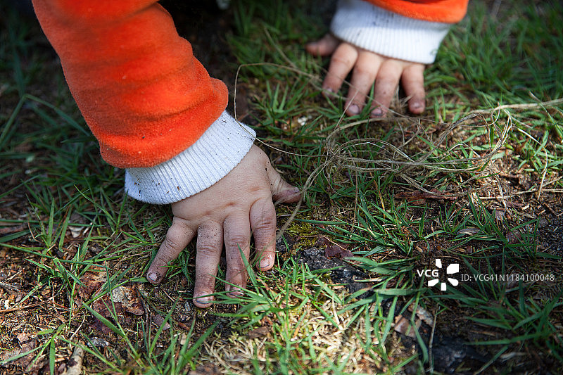 婴儿的小手探索草地图片素材