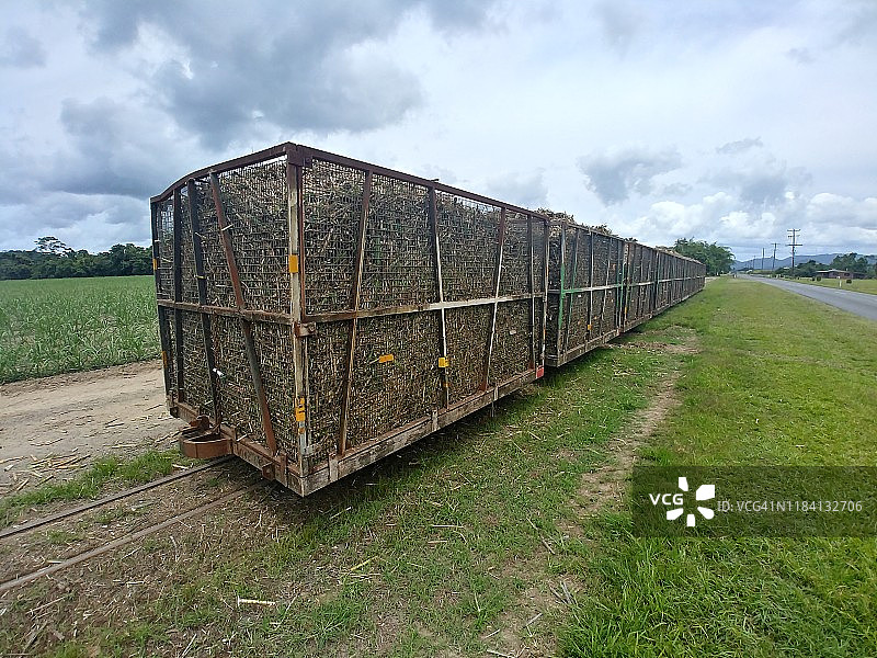 甘蔗收割图片素材