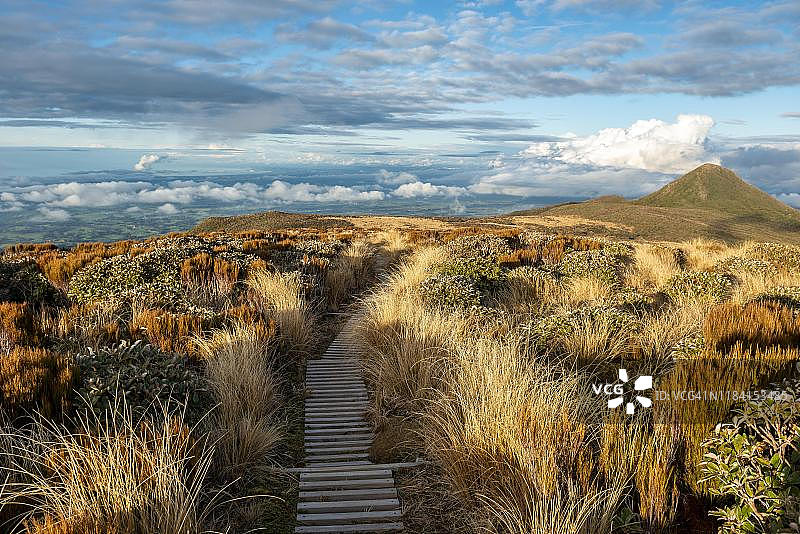 穿过草原的徒步小径，可欣赏海景，位于新西兰北岛塔拉纳基埃格蒙特国家公园图片素材